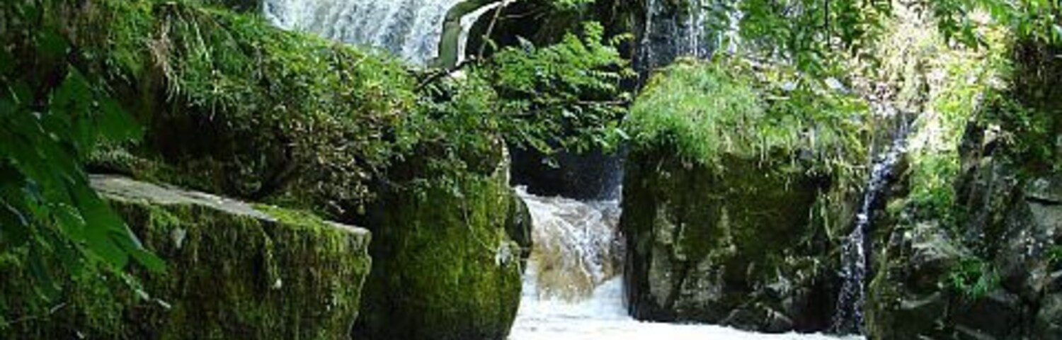 Waterfall below the weir, Dolanog. The water is divided below the weir 510065 and (mostly) falls either side of a triangular outcrop. Seen here is the southerly fall and some overspill from the central outcrop owing to the high river levels following recent heavy rain.