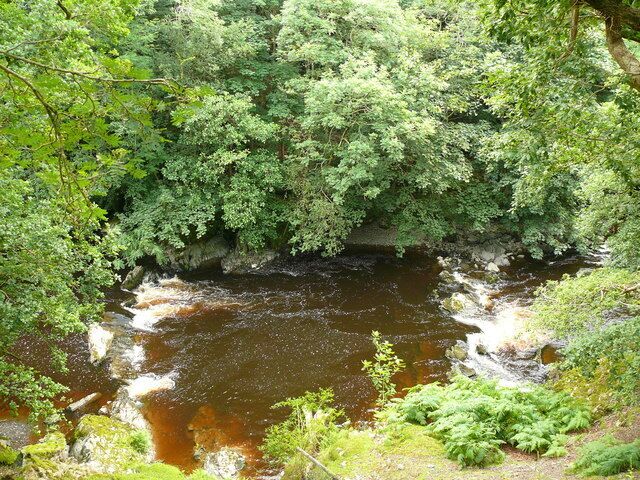 Afon Efyrnwy / River Vyrnwy Golygfa o'r Afon Efyrnwy oddi ar Lwybr Glyndwr / View of the River Vyrnwy from the Glyndwr Way.