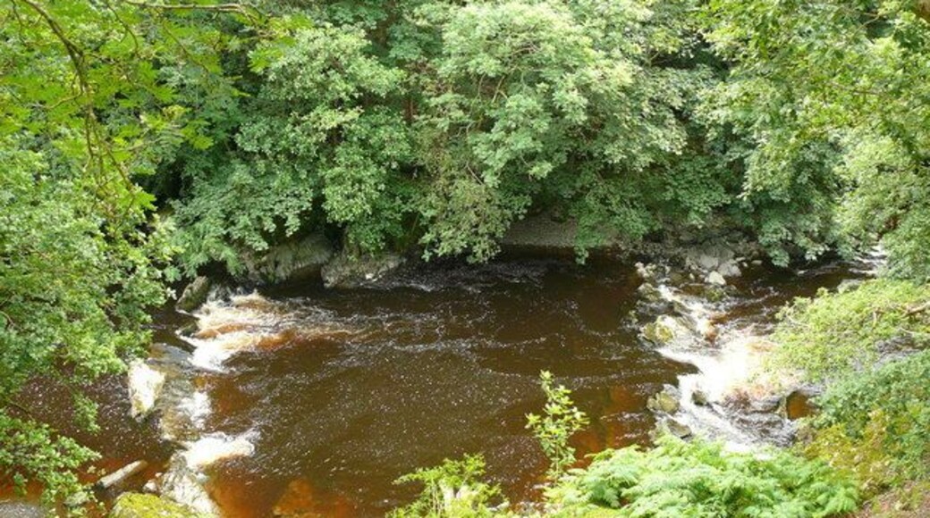 Afon Efyrnwy / River Vyrnwy Golygfa o'r Afon Efyrnwy oddi ar Lwybr Glyndwr / View of the River Vyrnwy from the Glyndwr Way.