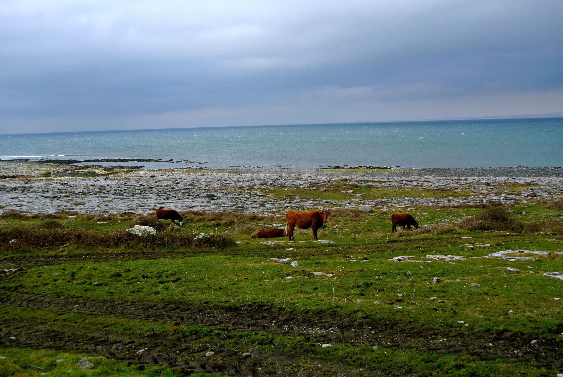 Taking a #roadtrip through Ireland was an adventure. Driving on the "wrong" side of the road! 