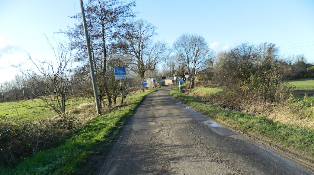 Fen Road