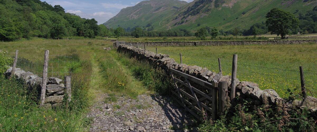 A stone wall leading through a grassy field with mountains in the background.