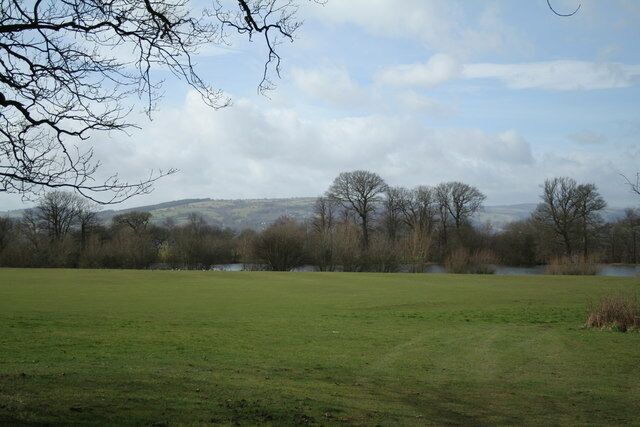 A grassy field with a body of water and trees in the background.
