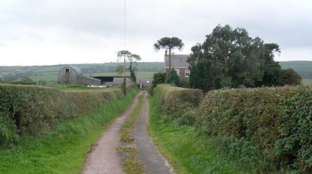 Track, to Frondeg Farm