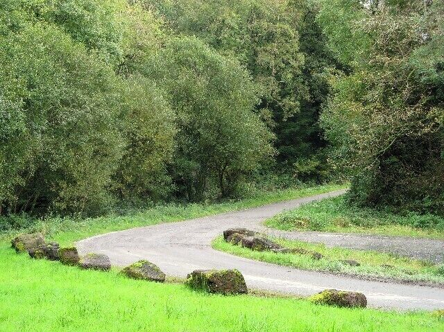 Farm road The road leading to Pantyrhuad