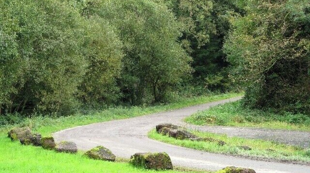 Farm road The road leading to Pantyrhuad