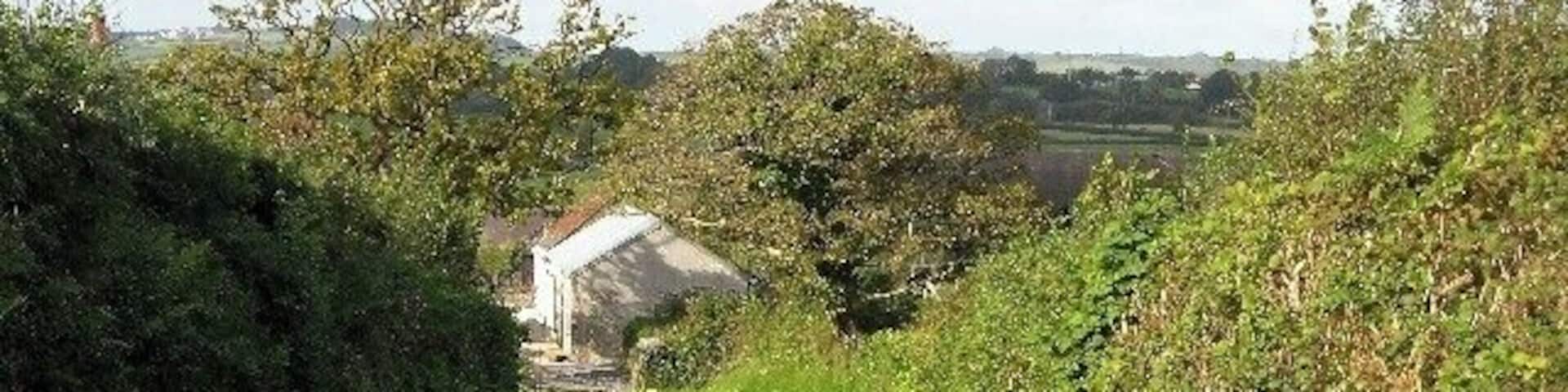 Secluded farm Mylett Farm is pleasantly situated off the side road.