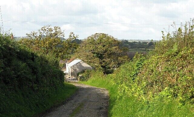 A rural road with a white building in the distance, surrounded by greenery.