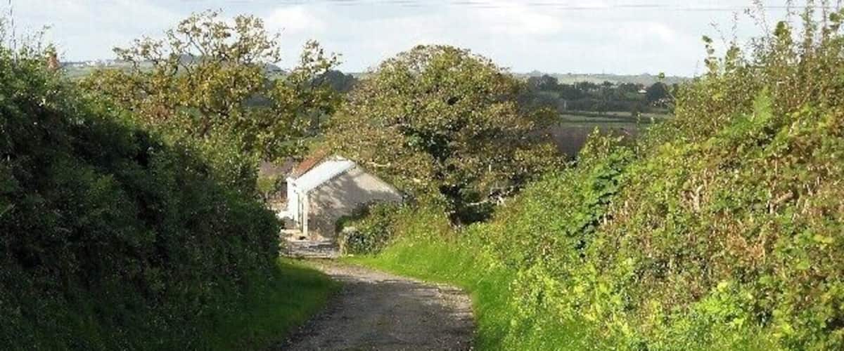 A rural road with a white building in the distance, surrounded by greenery.