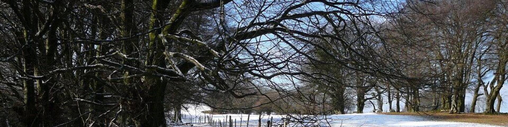 On the Rhymney Valley Ridgeway Footpath southwest of Rudry.