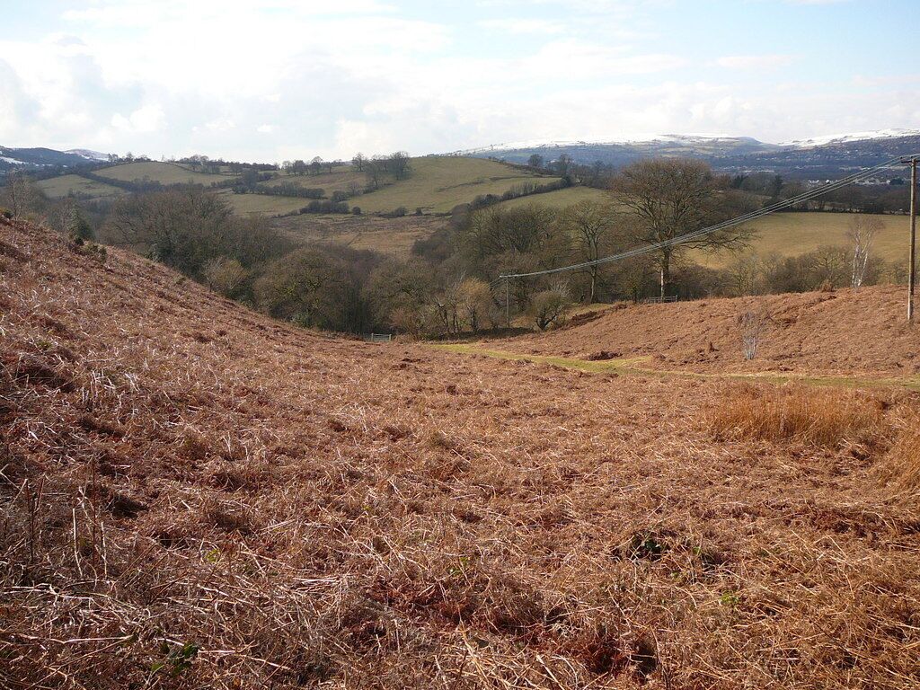 Moorland and track to the north of Mynydd Rudry.