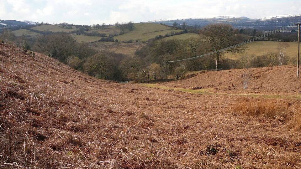 A hilly landscape with dry grass and trees.