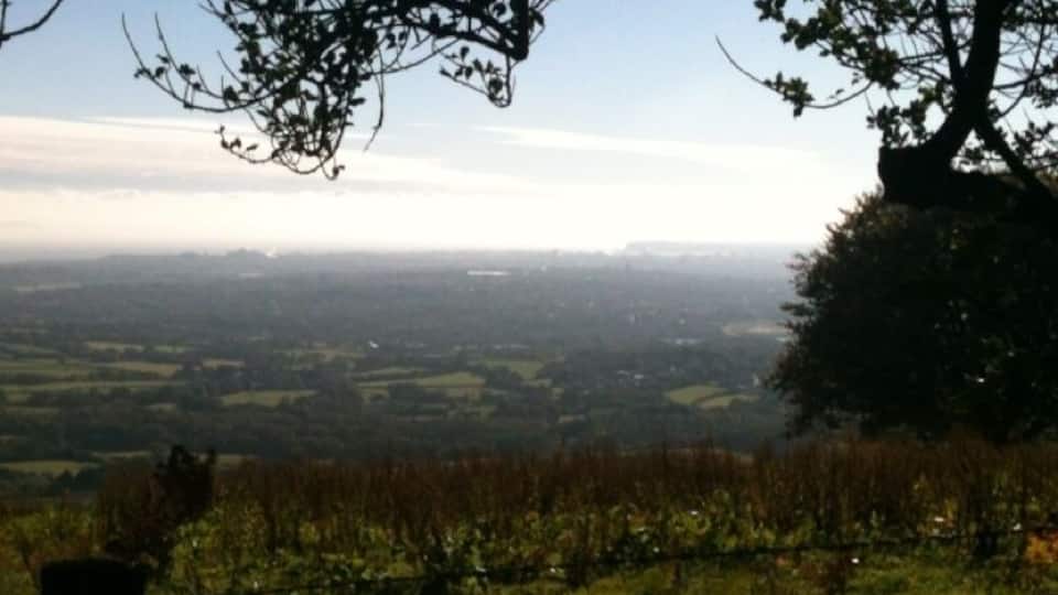 A rural landscape with a tree in the foreground and a view of a valley in the distance.