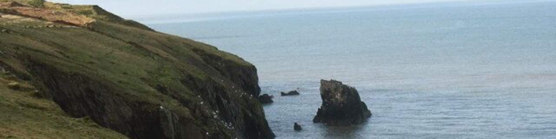 A coastal landscape with grassy cliffs and a rocky outcrop in the sea.