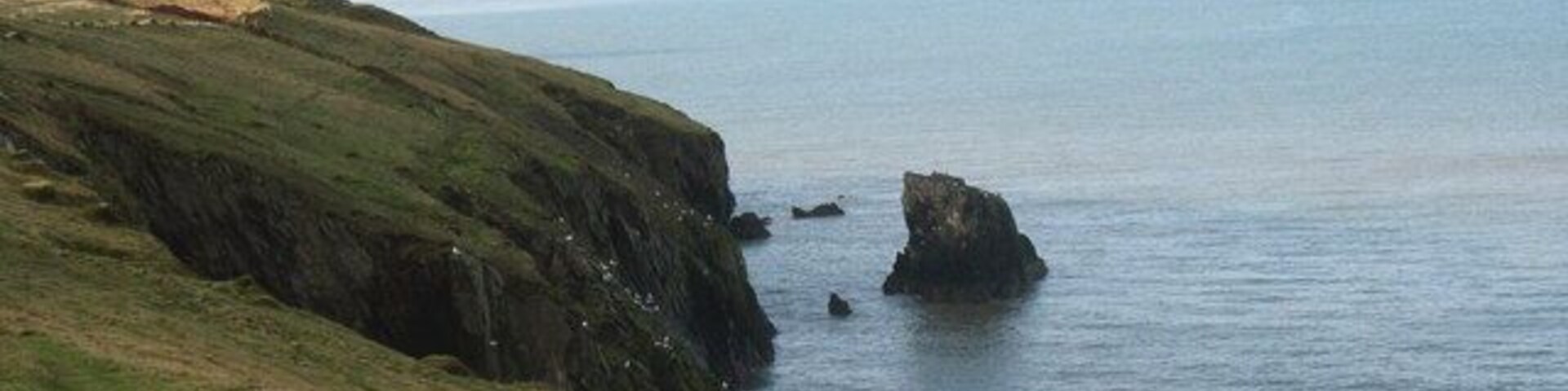 A coastal landscape with grassy cliffs and a rocky outcrop in the sea.