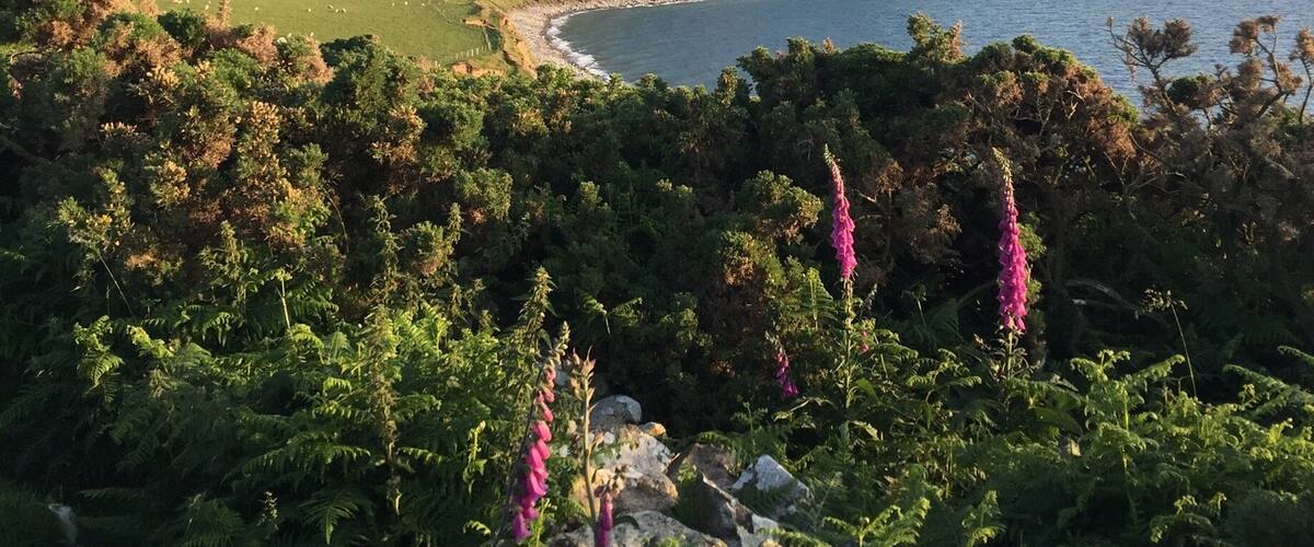 View on the coastal path of wales near Trefor looking towards the rivals and Nefyn.
#seaview #wales #trefor #mounains