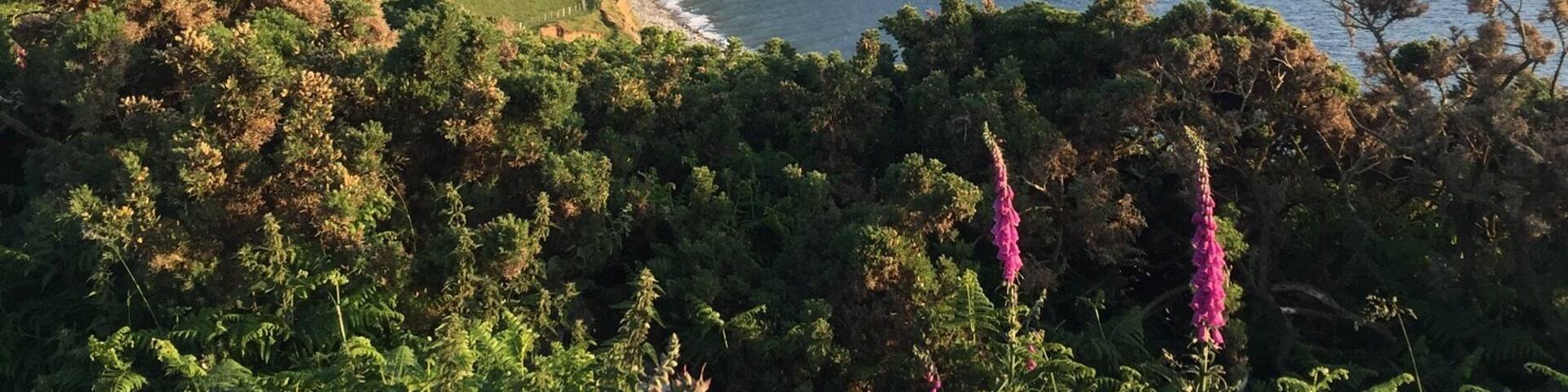 View on the coastal path of wales near Trefor looking towards the rivals and Nefyn.
#seaview #wales #trefor #mounains
