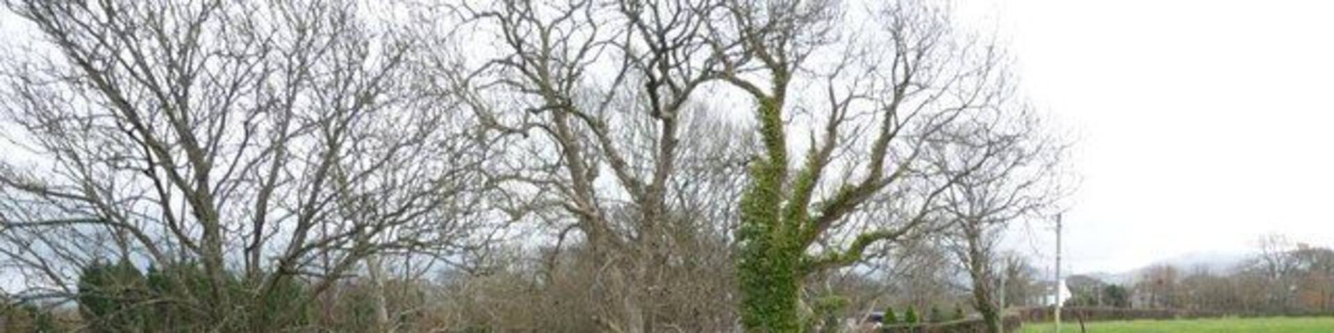 Afon Gwyrfai, upstream from Pont Faen