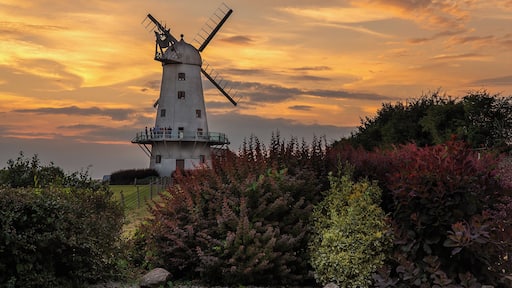 Called at the mill last night after a pleasant drive out eith my wife. The horizon was thick but gladly the colour managed to get above it.