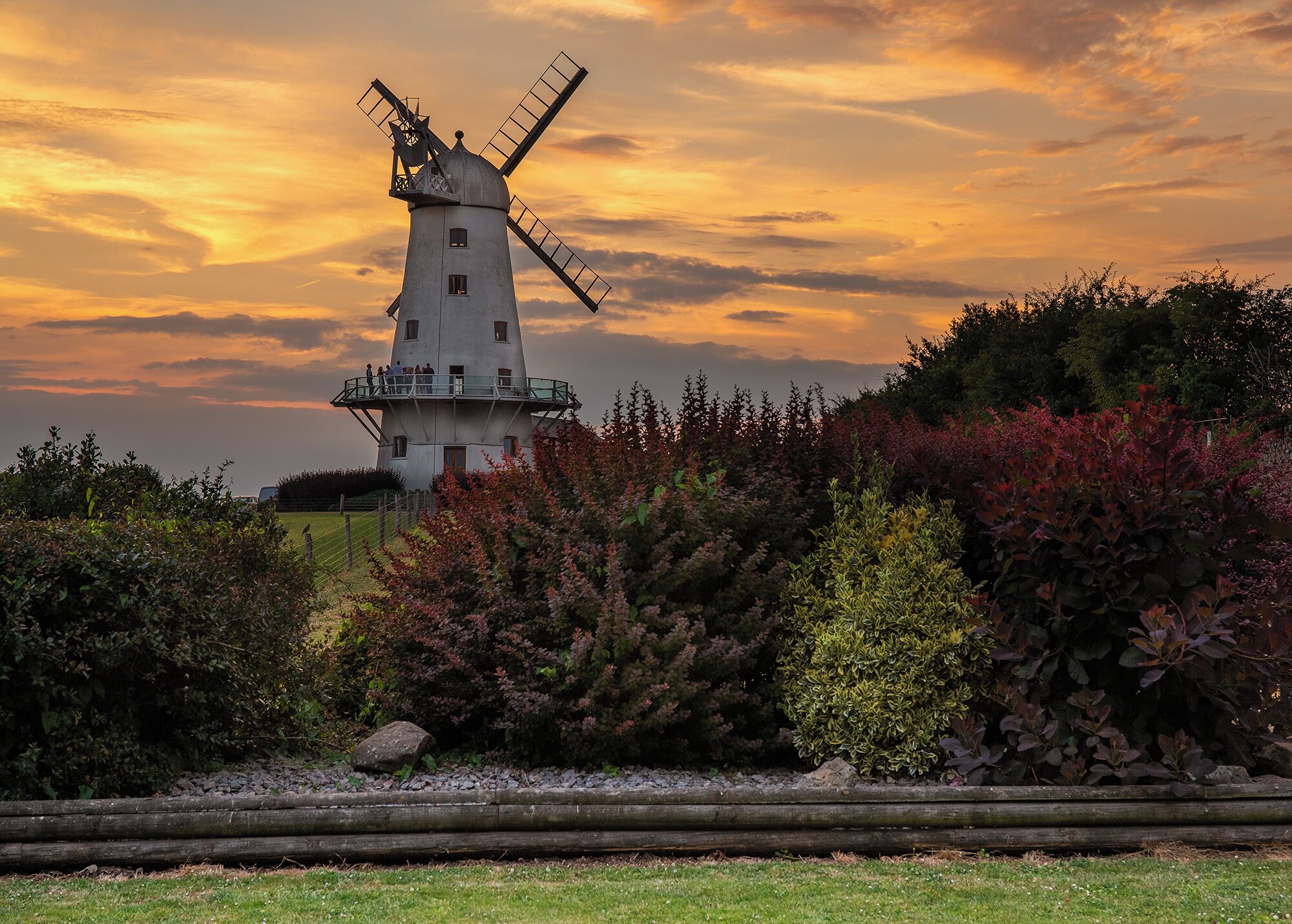A windmill with a platform, surrounded by bushes and trees.