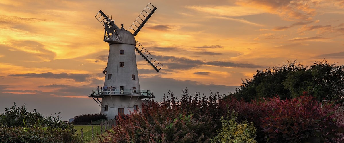 A windmill with a platform, surrounded by bushes and trees.