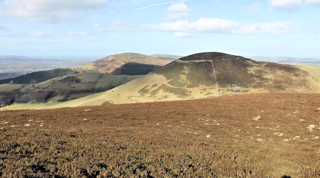 Moel Arthur, Sir Ddinbych from Moel Llys y Coed. North Wales