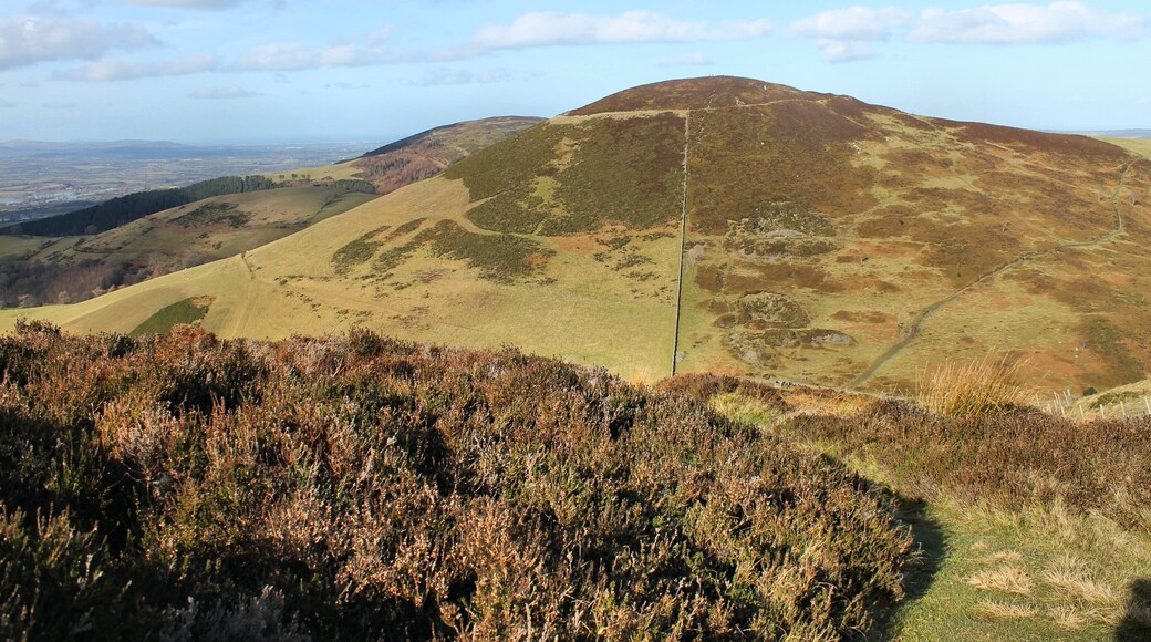 Moel Arthur, Sir Ddinbych from Moel Llys y Coed. North Wales