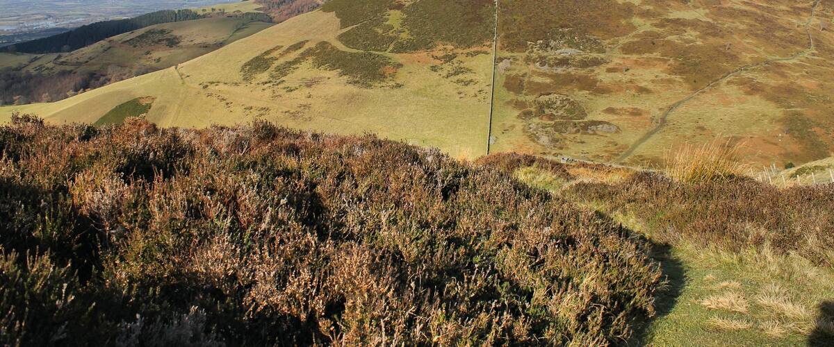 Moel Arthur, Sir Ddinbych from Moel Llys y Coed. North Wales