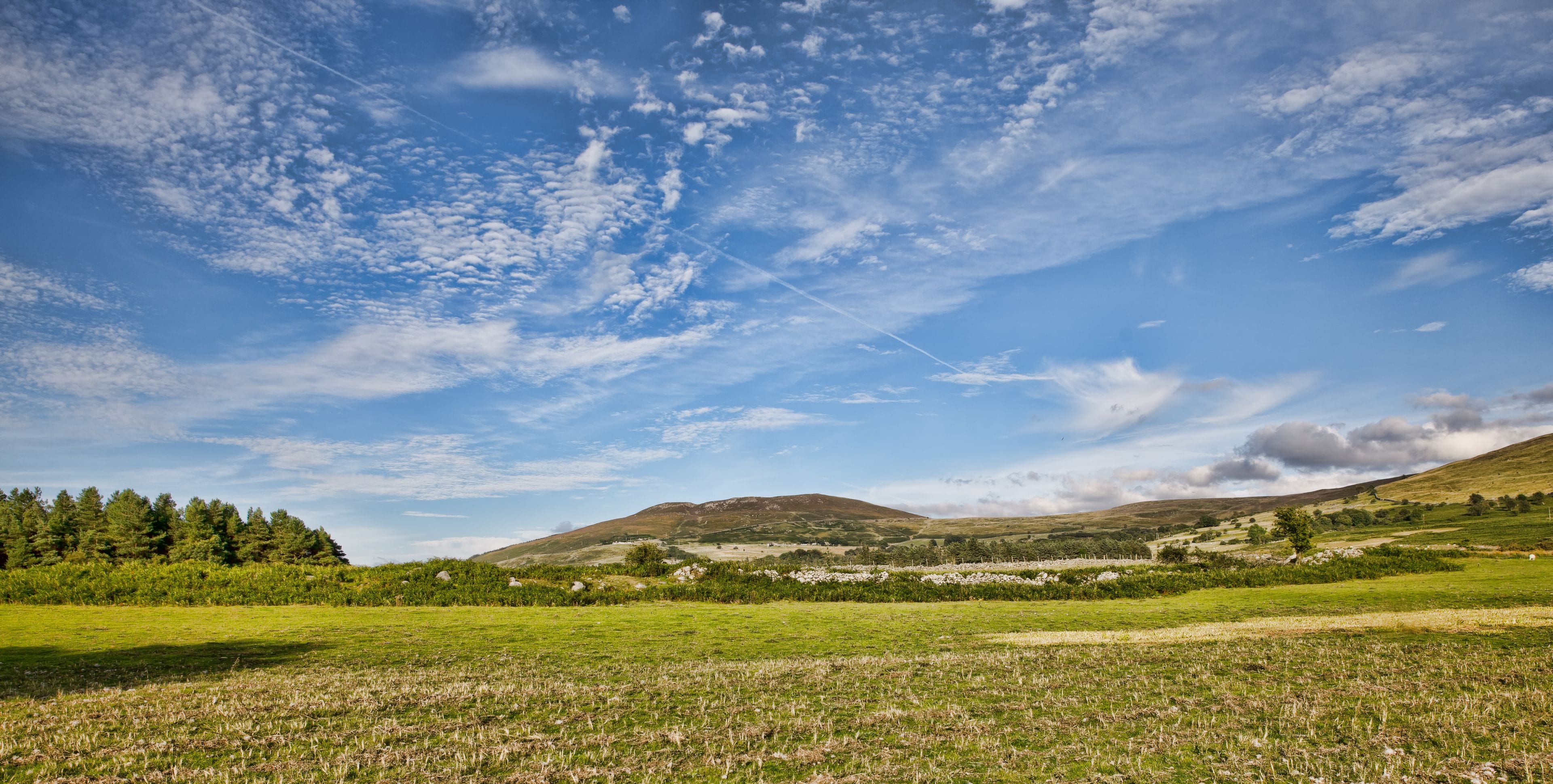 A grassy field with a mountain in the background and a partly cloudy sky.