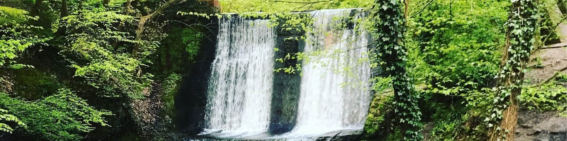 Little morning stroll through wepre Park. Such a beautiful little place! #morningwalks #weprepark #beautifulplaces