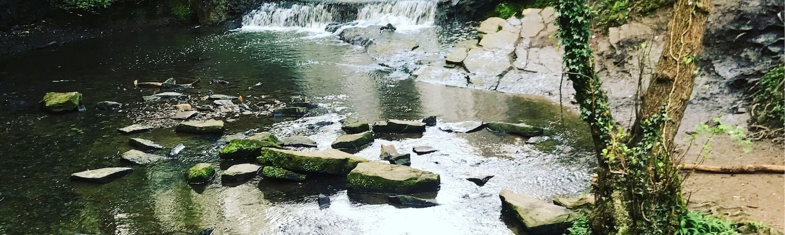 A waterfall cascading over rocks in a forested area.