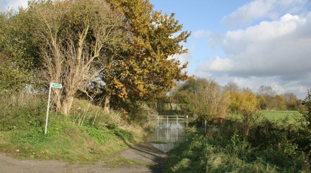 Crow Lane