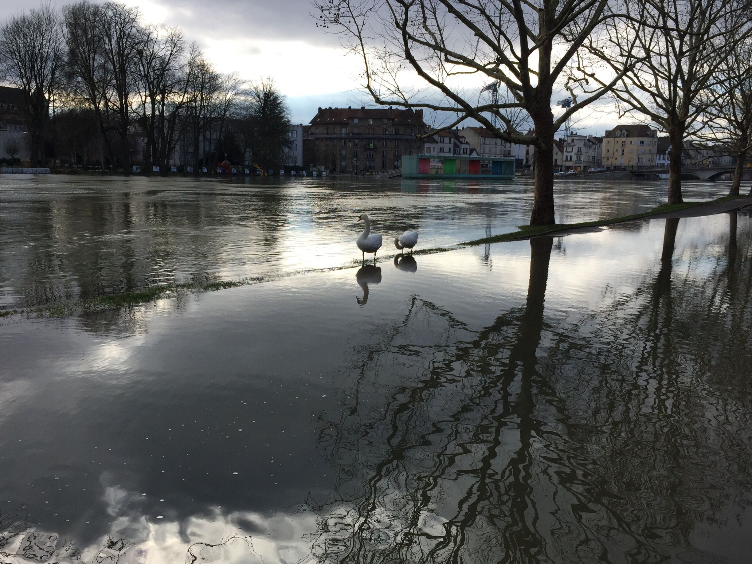 La Marne river under 2017 flooding... impressive..