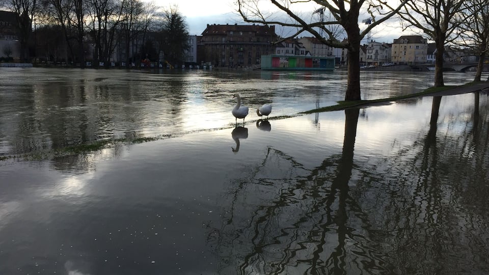 A flooded urban area with buildings and trees reflected in the water.