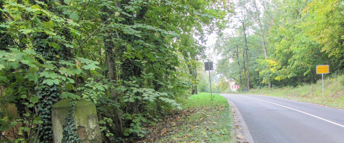 A road bordered by dense foliage and a stone wall.