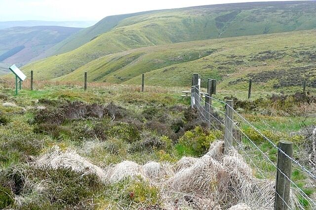 Head of Harley Dingle Just in the north-east corner of the square and just within the nature reserve, this is a view south into the top of Harley Dingle. All the slopes of the dingle and its side tributaries are steep and covered with heather. The Great Rhos plateau can be seen beyond.