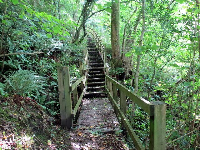 Llwybr Coed Crewil Wood Path north of Bethlehem, Carmarthenshire
