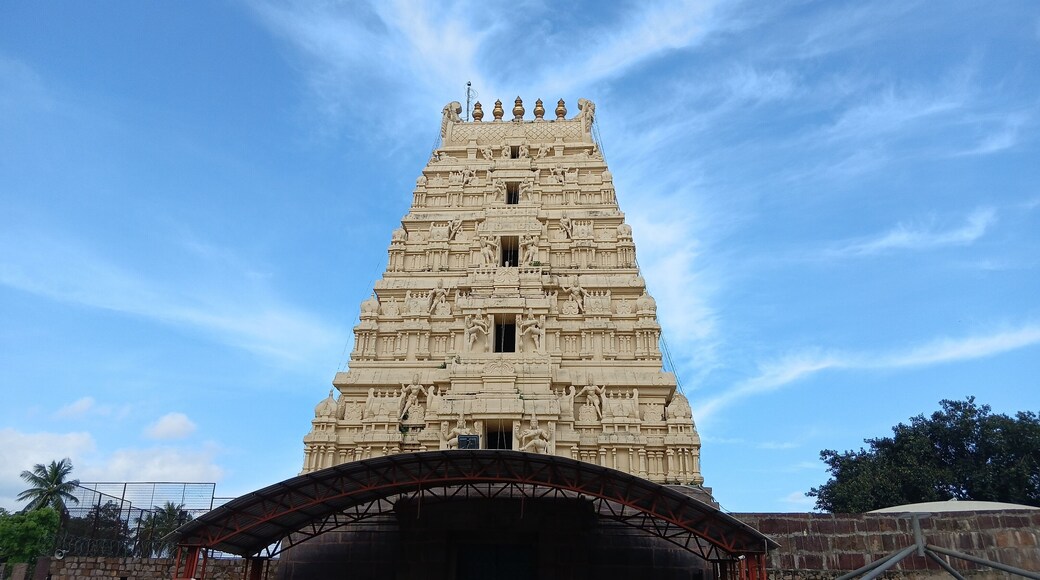 : sri mallikarjuna swamy in hindu temple srisilam lord of shiva in Andhra pradesh india