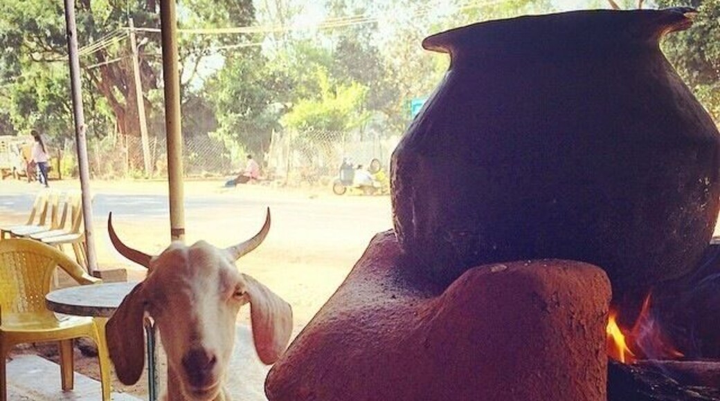 We were in iqbal dhaba for breakfast where this goat came and stood in front of me beside this stove (chulhaa as they call it) with those innocent eyes as if it knows whats gonna happen to it in the end.
Couldn't resist taking this picture. I call it BEFORE and AFTER 😀