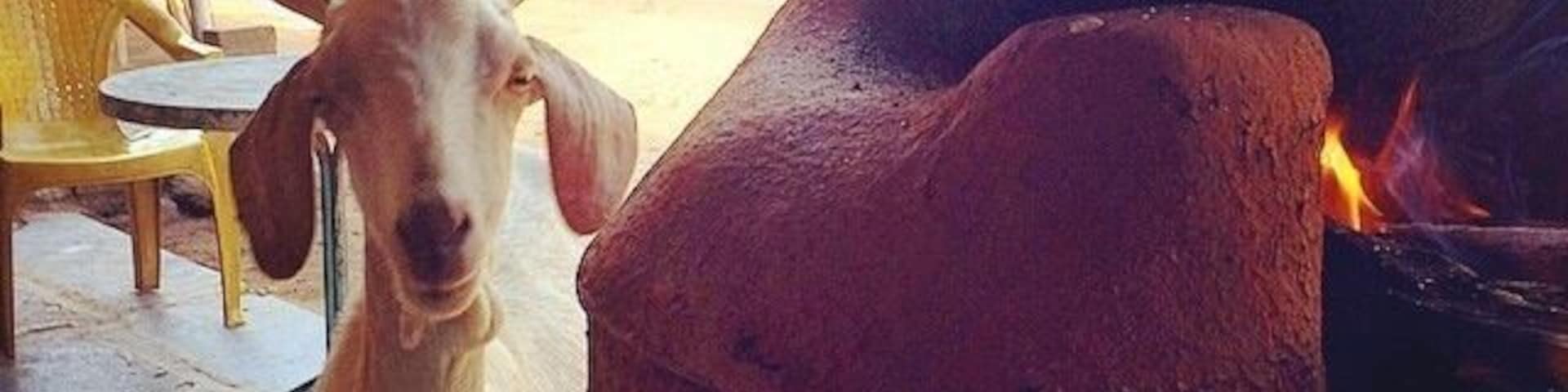 We were in iqbal dhaba for breakfast where this goat came and stood in front of me beside this stove (chulhaa as they call it) with those innocent eyes as if it knows whats gonna happen to it in the end.
Couldn't resist taking this picture. I call it BEFORE and AFTER 😀