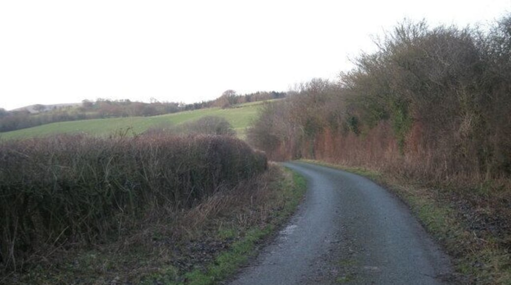 Lane next to Owlbury Hall