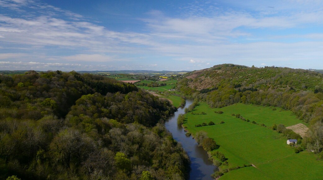 River Wye valley from Symond's Yat Rock.