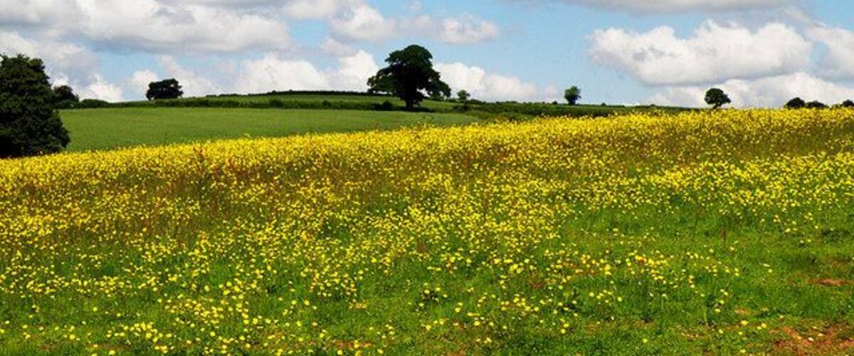 Farmland in the Severn Vale This photograph is taken from a cliff overlooking the River Severn but in the other direction.