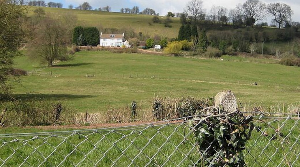 House on a hillside, Littledean From Grange Lane, the Soudley road.