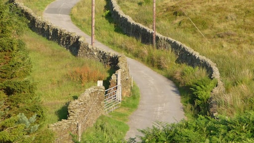 road with dry stone walls