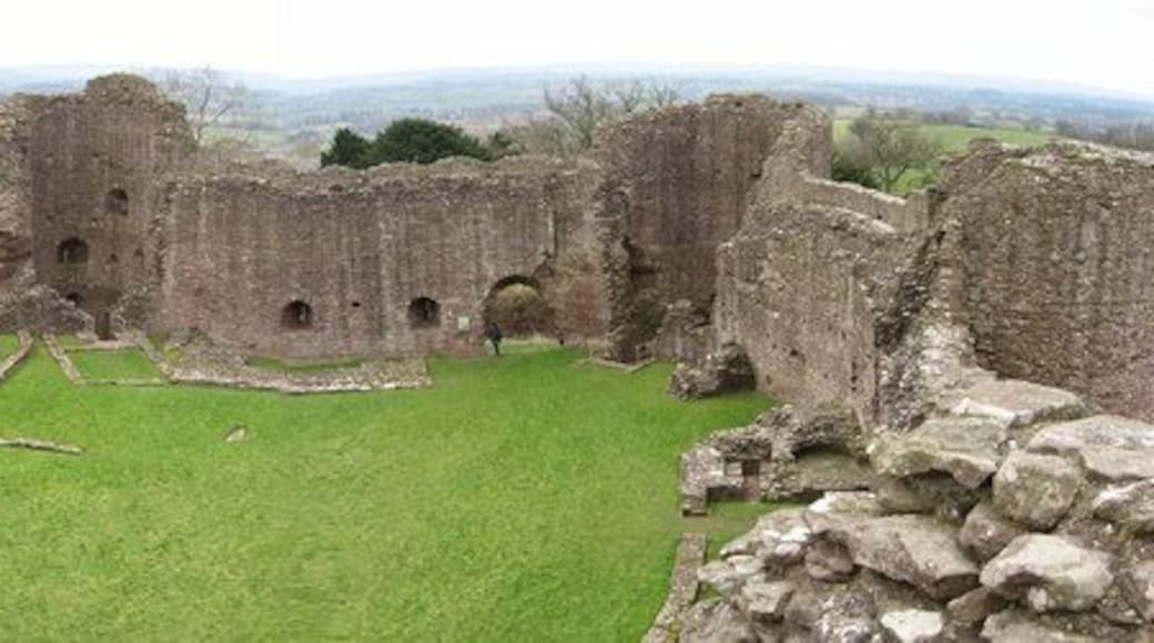 White Castle Looking into White Castle from the top of the tower.