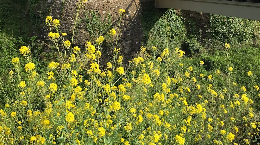 Castle complete with a moat. We were the only people there.