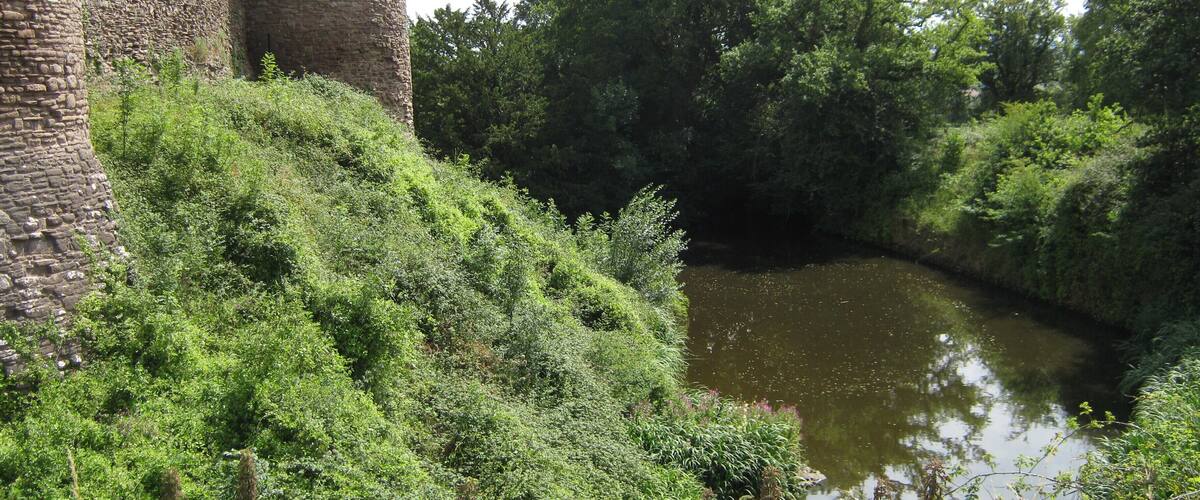 A historic stone tower and lush greenery beside a calm river.