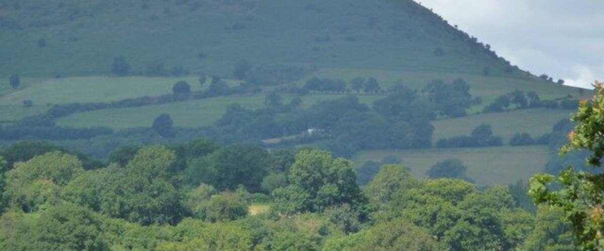 A rolling green hillside with dense tree coverage in the foreground and a hill in the background.