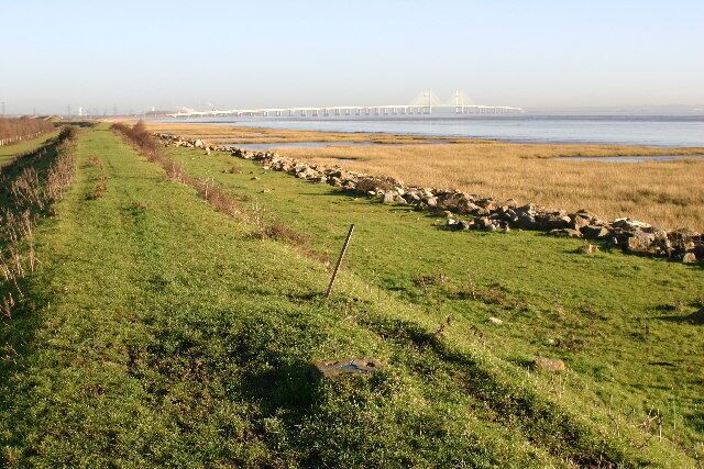 Caldicot Moor trig. Its sunk nearly out of sight. Looking E from position